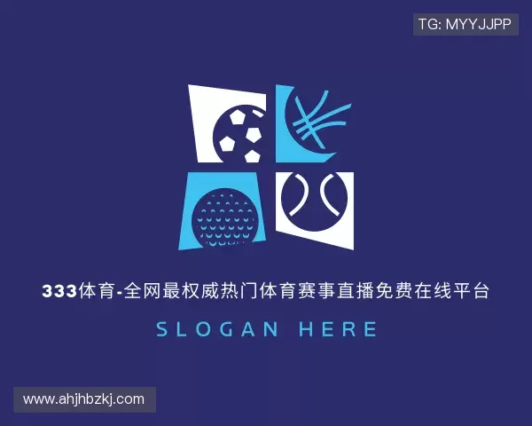 介绍333体育